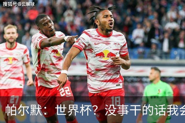 帕尔默：世界杯？没事干的话我会看看，我希望他们能走到最后